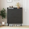 32" wide farmhouse shoe cabinet with 2 flip-top drawers and barn door design, adjustable shelves